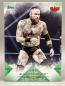 Preview: Aleister Black Rainbow SET Base bis /5 plus Schamberger - 2020 Topps Undisputed WWE