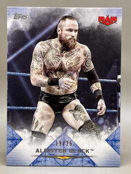 Aleister Black Rainbow SET Base bis /5 plus Schamberger - 2020 Topps Undisputed WWE