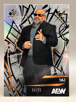 TAZ Base 24/25 - 2025 Upper Deck SP Game Used AEW