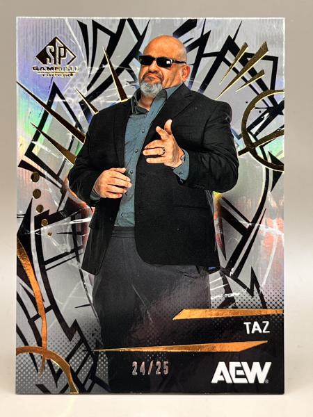 TAZ Base 24/25 - 2025 Upper Deck SP Game Used AEW