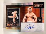 Ilja Dragunov Ringside Action Signatures - 2024 Panini Select WWE