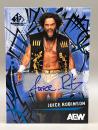 Juice Robinson Autograph Blue - 2025 Upper Deck SP Game Used AEW